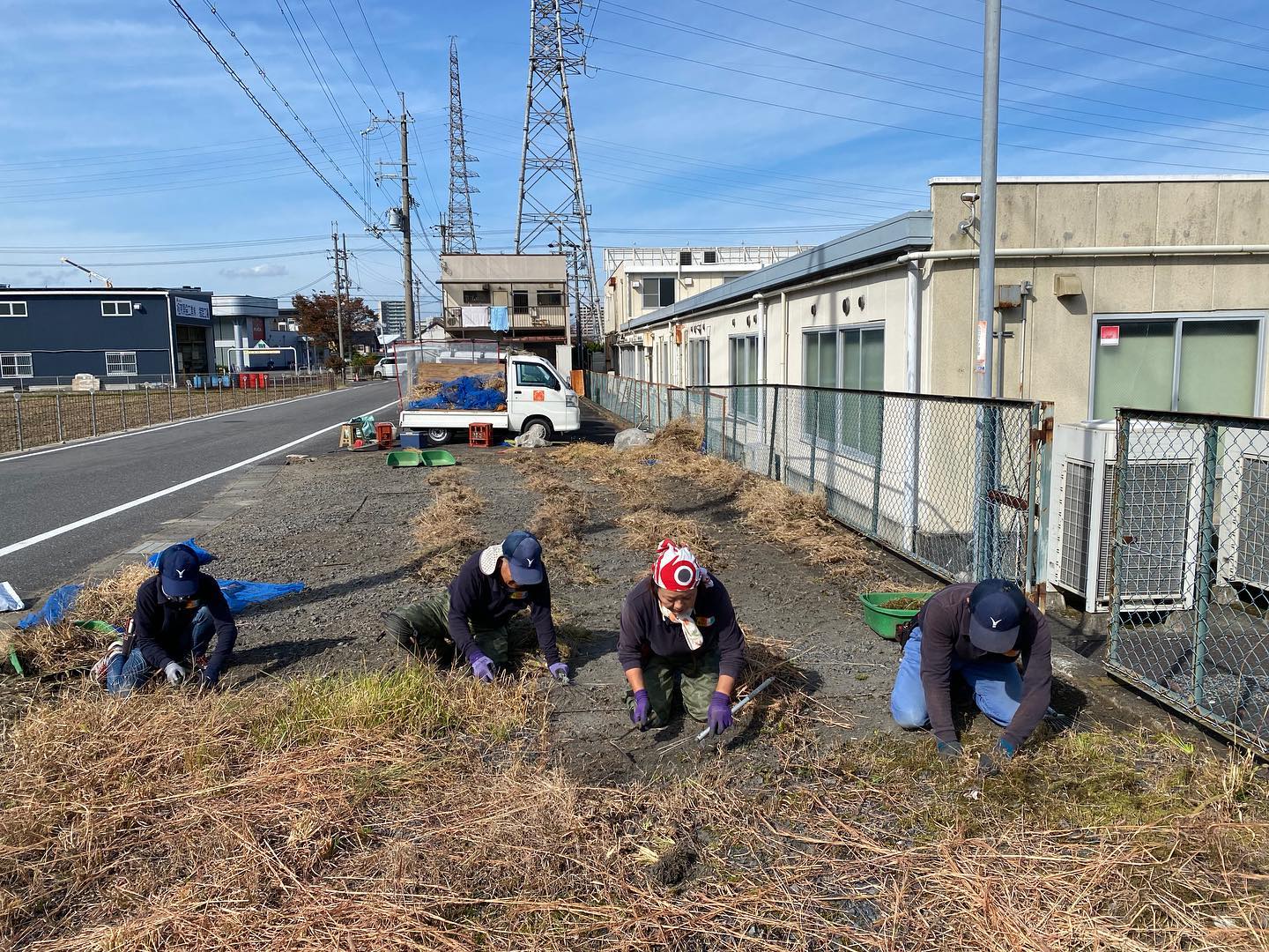 草むしり